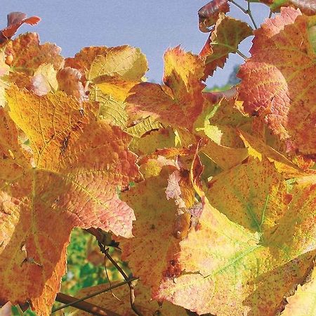 Апартаменти Weingut Alfred Huber Дурбах Екстер'єр фото