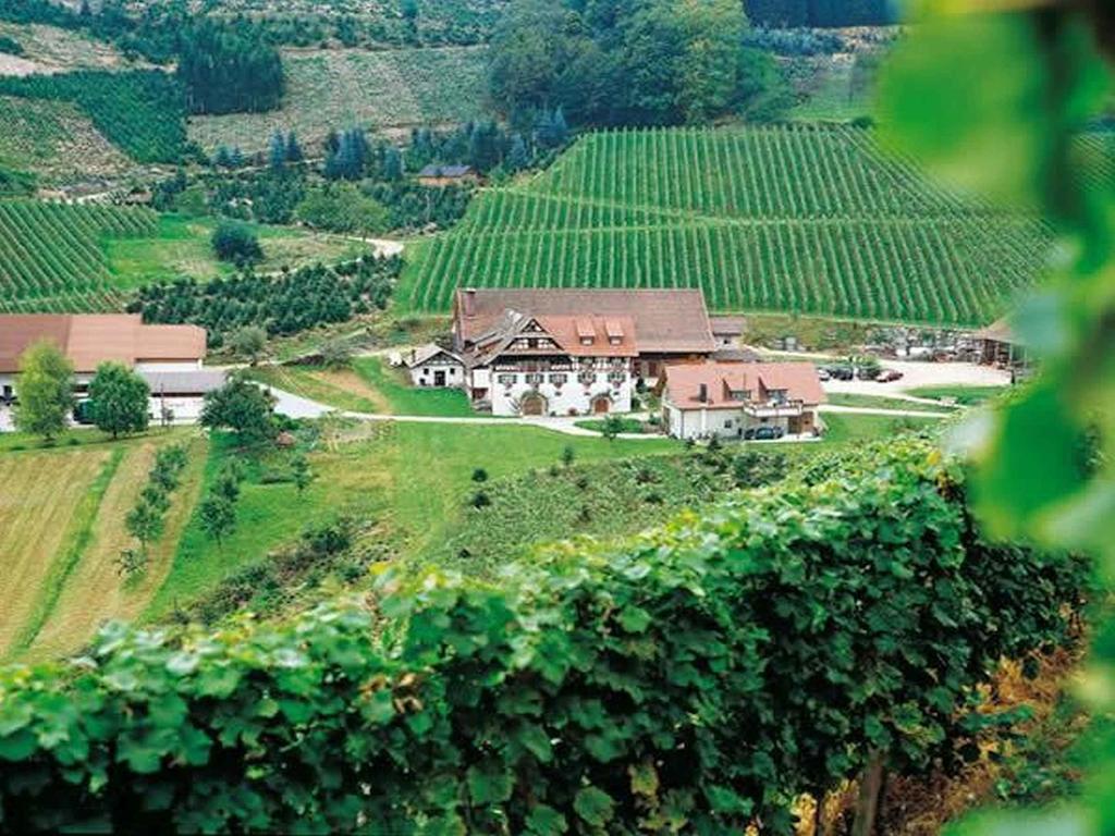 Апартаменти Weingut Alfred Huber Дурбах Екстер'єр фото