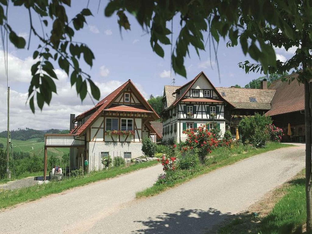 Апартаменти Weingut Alfred Huber Дурбах Екстер'єр фото