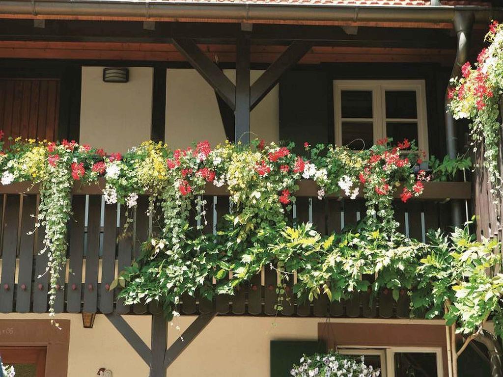 Апартаменти Weingut Alfred Huber Дурбах Екстер'єр фото