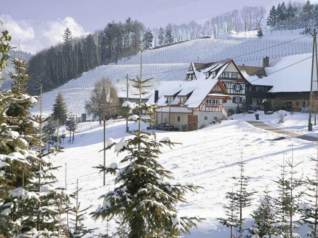 Апартаменти Weingut Alfred Huber Дурбах Екстер'єр фото